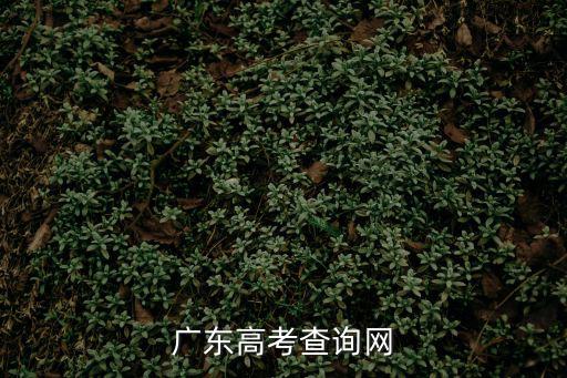 廣東高考查詢網