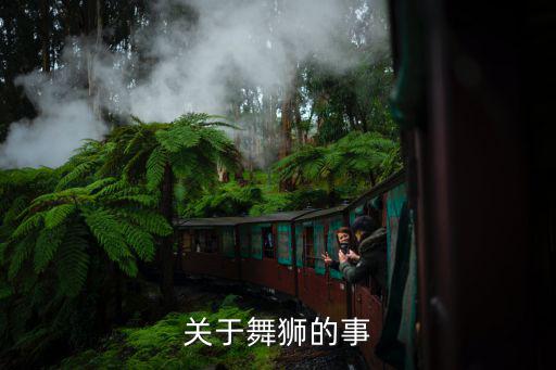 關于舞獅的事