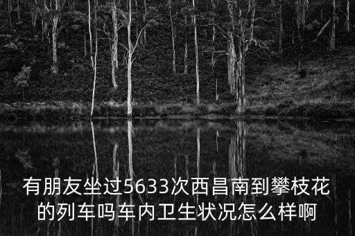 5633次列車，有朋友坐過5633次西昌南到攀枝花的列車嗎車內衛生狀況怎么樣啊