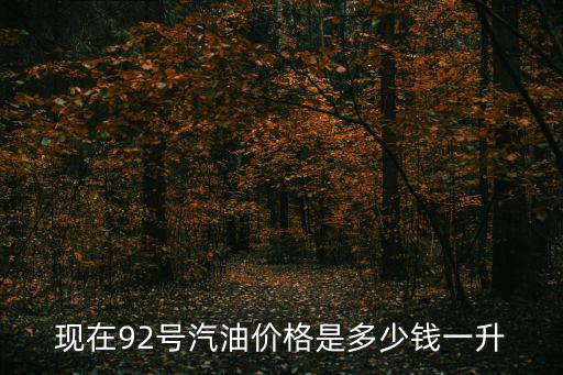 92號汽油油價，現在92號汽油多少錢一升