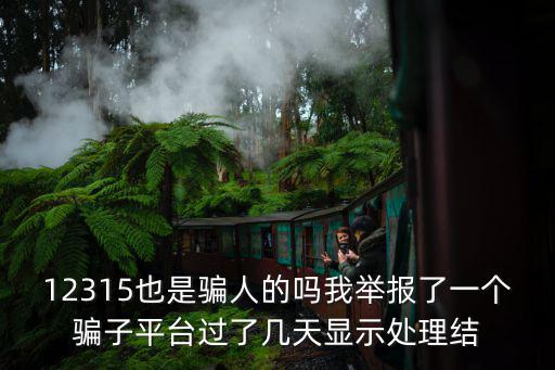 12315也是騙人的嗎我舉報了一個騙子平臺過了幾天顯示處理結(jié)