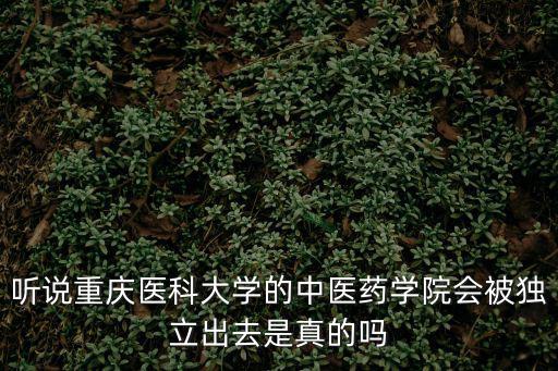 聽說重慶醫(yī)科大學(xué)的中醫(yī)藥學(xué)院會(huì)被獨(dú)立出去是真的嗎