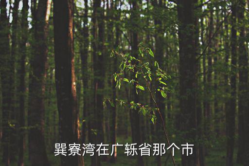 巽寮灣在廣轢省那個市