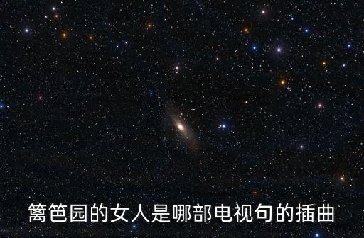 籬笆園的女人是哪部電視句的插曲