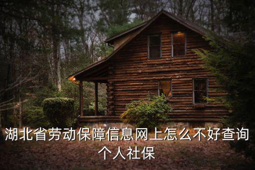 湖北省勞動保障信息網上怎么不好查詢個人社保