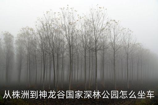 株洲神龍谷，株洲市到株洲神龍谷要多久