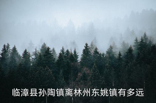 孫陶鎮，臨漳縣孫陶鎮離林州東姚鎮有多遠