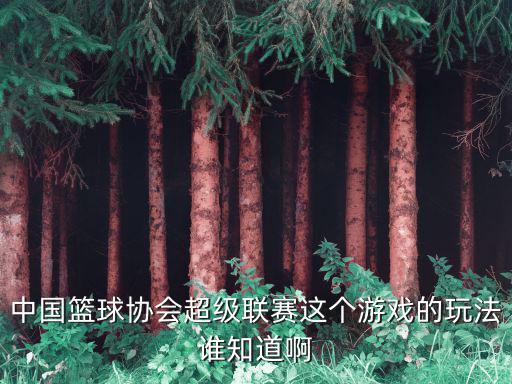 中國籃球協會超級聯賽這個游戲的玩法誰知道啊