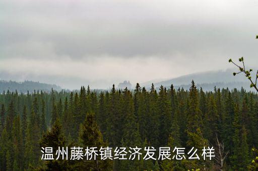溫州藤橋鎮經濟發展怎么樣
