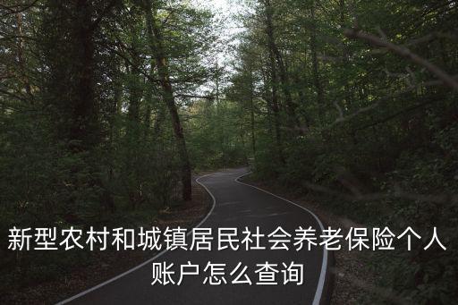 新型農(nóng)村和城鎮(zhèn)居民社會養(yǎng)老保險個人賬戶怎么查詢
