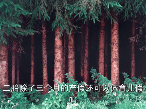 二胎除了三個月的產假還可以休育兒假嗎
