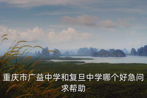 重慶市廣益中學(xué)和復(fù)旦中學(xué)哪個好急問求幫助