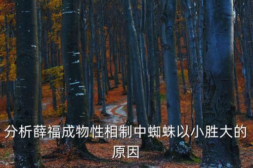 分析薛福成物性相制中蜘蛛以小勝大的原因