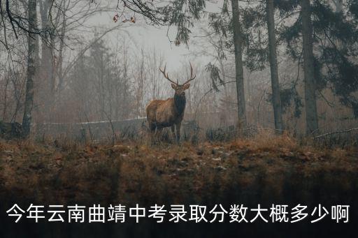 中考錄取分?jǐn)?shù)，昆明2019年中考分?jǐn)?shù)548郊縣生可以上昆三中嗎