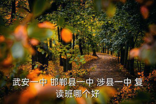 涉縣第一中學，涉縣考高中1中2中是多少分
