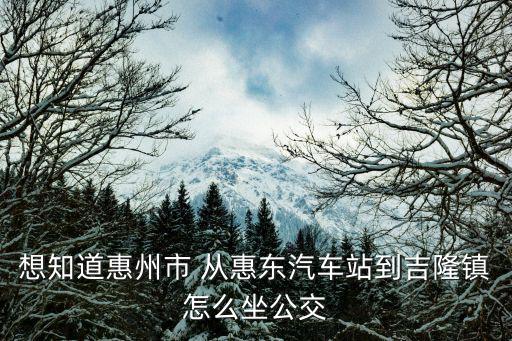 惠東吉隆鎮(zhèn)，惠東縣吉隆鎮(zhèn)郵政編碼是什么