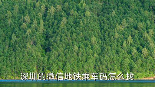 深圳的微信地鐵乘車碼怎么找