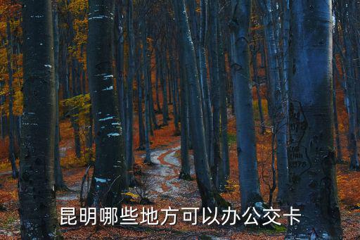 公交卡辦理地點，昆明哪些地方可以辦公交卡