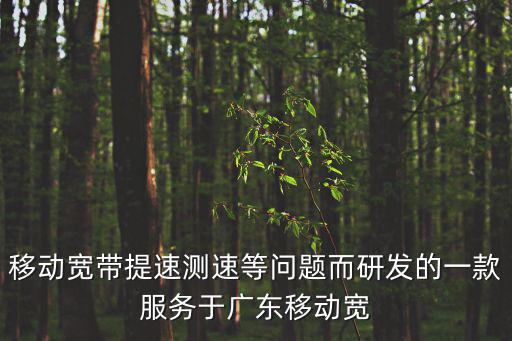 移動寬帶提速測速等問題而研發的一款服務于廣東移動寬