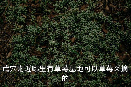 武穴附近哪里有草莓基地可以草莓采摘的