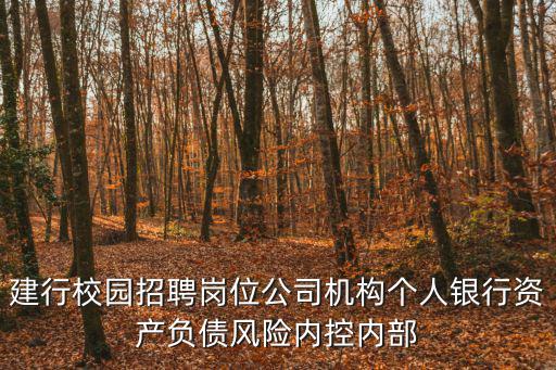 建行校園招聘崗位公司機構個人銀行資產負債風險內控內部