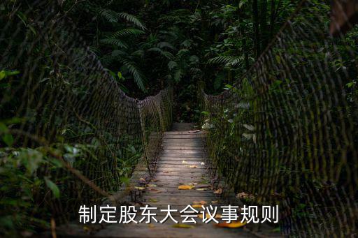 制定股東大會議事規(guī)則