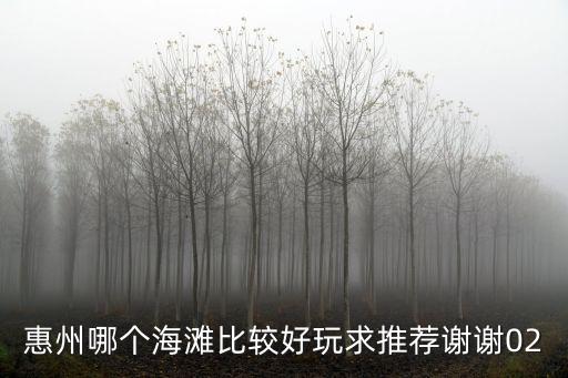 惠州哪個(gè)海灘比較好玩求推薦謝謝02