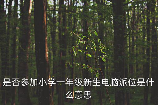 是否參加小學一年級新生電腦派位是什么意思