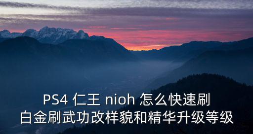 仁號寶，PS4 仁王 nioh 怎么快速刷白金刷武功改樣貌和精華升級等級