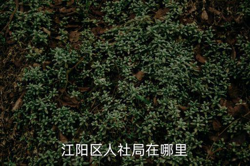 江陽區人社局在哪里