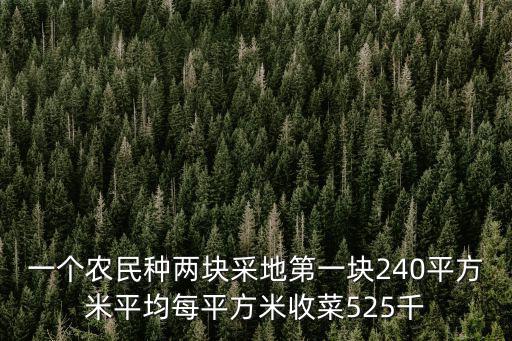 一個農民種兩塊采地第一塊240平方米平均每平方米收菜525千