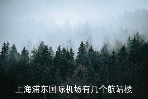 上海浦東國際機場有幾個航站樓