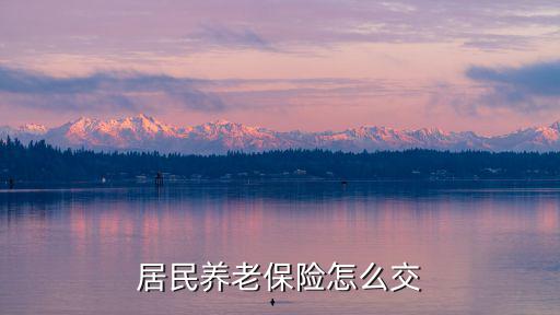 居民養(yǎng)老保險怎么交