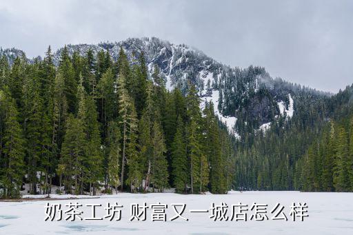 奶茶工坊 財富又一城店怎么樣