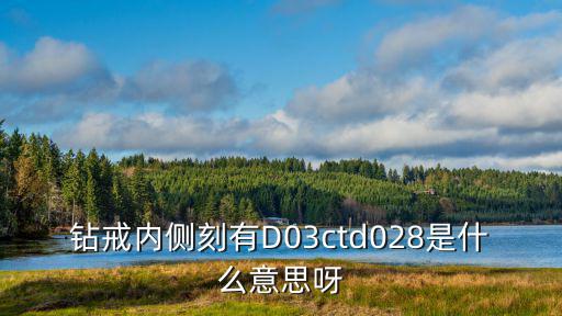 d2301，鉆戒d0361是啥意思