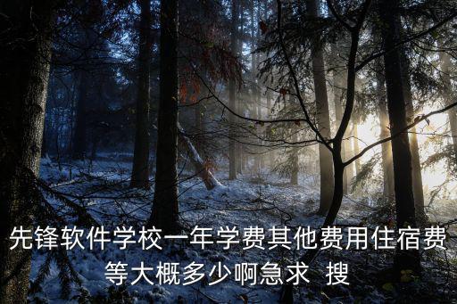 先鋒軟件學校一年學費其他費用住宿費等大概多少啊急求  搜