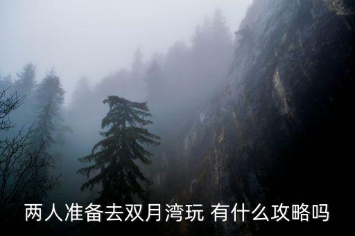 雙月灣旅游攻略自由行，準備自駕游到惠州雙月灣求推薦攻略或者有那些好的酒店或別墅推薦