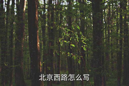 北京西路怎么寫