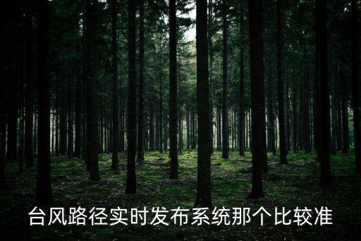 臺風路徑實時發(fā)布系統(tǒng)那個比較準