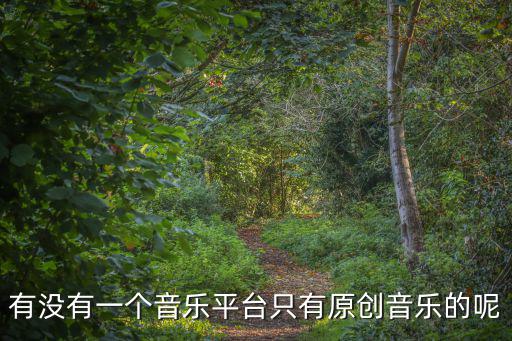 有沒有一個音樂平臺只有原創音樂的呢