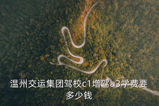 溫州交運，溫州交運集團陳忠義什么職位