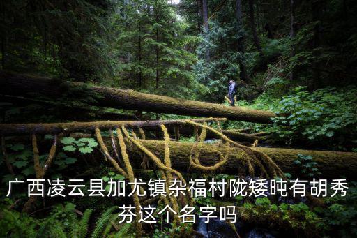 廣西凌云縣加尤鎮(zhèn)雜福村隴矮旽有胡秀芬這個名字嗎