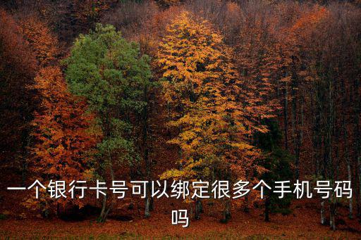 一張銀行卡可以綁定幾個手機號，一個銀行卡號可以綁定很多個手機號碼嗎