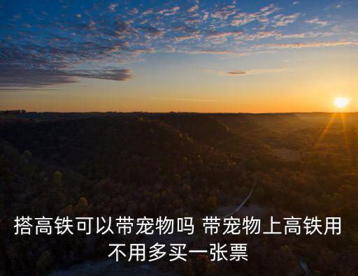 高鐵上能帶寵物嗎，搭高鐵可以帶寵物嗎 帶寵物上高鐵用不用多買一張票