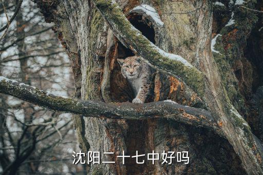 二十七中，太原市二十七中在哪兒
