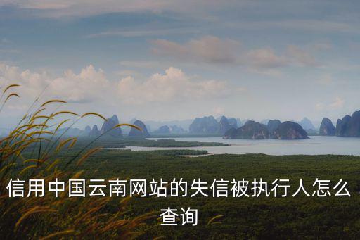 失信人被執行人信息查詢網，失信被執行人信息從哪里檢索到風險信息網上面的執行信息可以查到