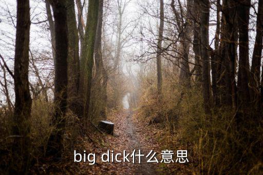 big dick什么意思