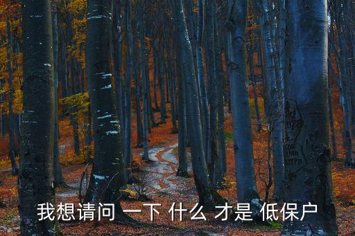 我想請問 一下 什么 才是 低保戶