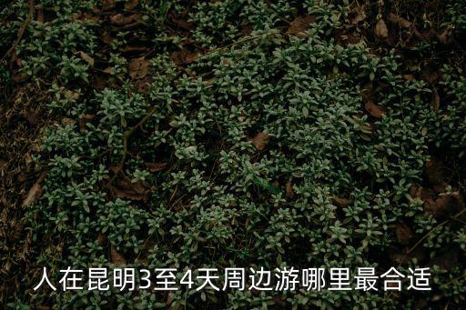 人在昆明3至4天周邊游哪里最合適