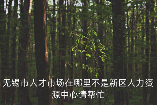 無錫人才，無錫人才市場有幾個在哪